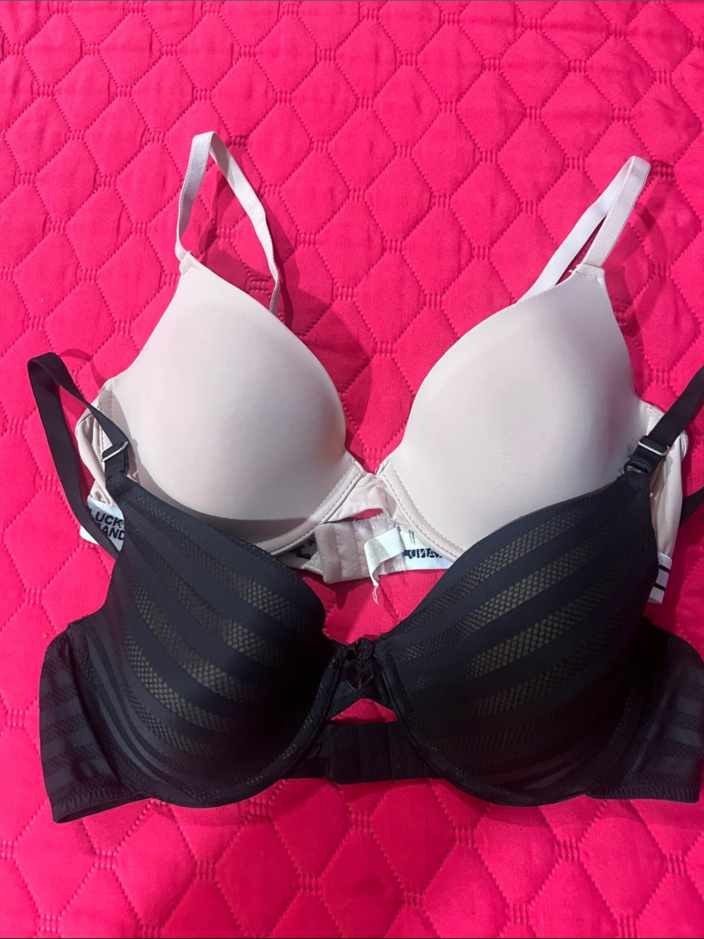 Women’s Seamless T-Shirt Bra - Black & Cream